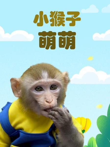 小猴子爱洗澡