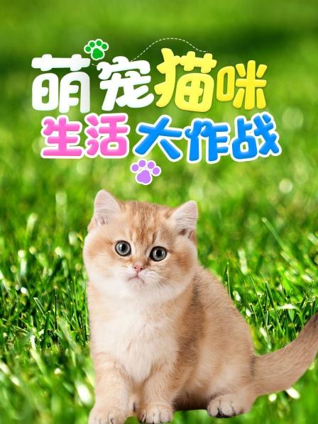 猜猜小猫咪看到了什么
