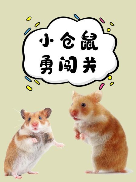 小仓鼠勇闯关，挑战悬崖上玩跷跷板，能找到传说中的宠物银行吗