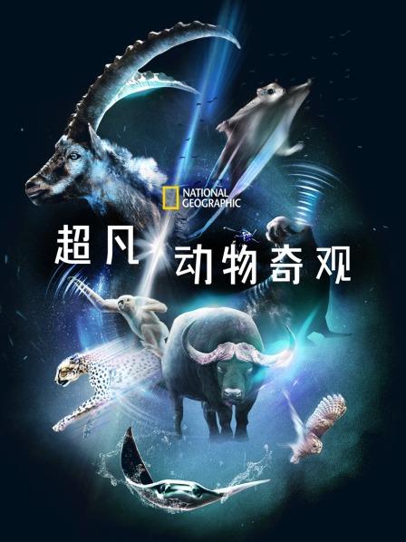 松鼠竟然会飞会发光 迷你版猫头鹰学蛇叫吓跑野牛