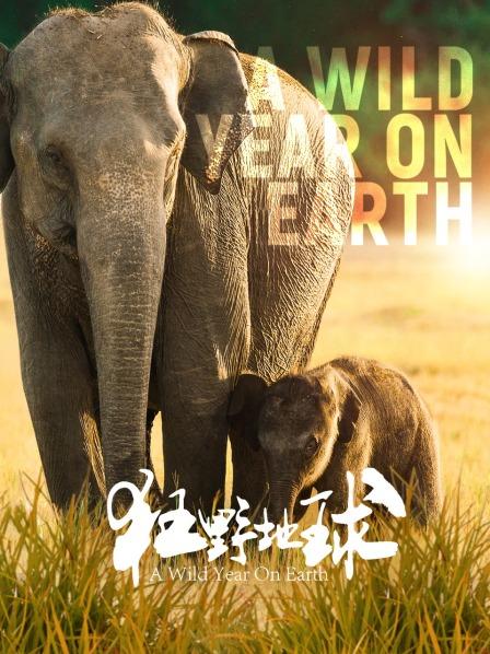 1月到2月：一年之初