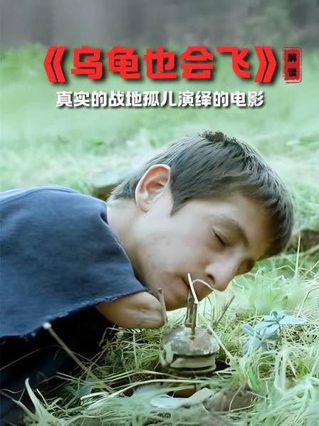 《乌龟也会飞》电影简述 1