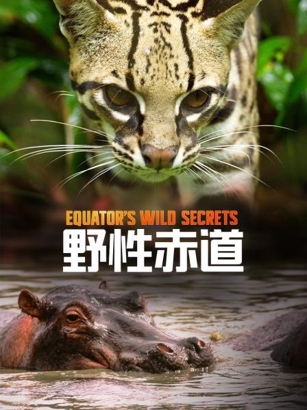 科隆群岛：现实版“哥斯拉”海鬣蜥 长得很凶狠却很温顺