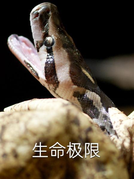 冷暖之间