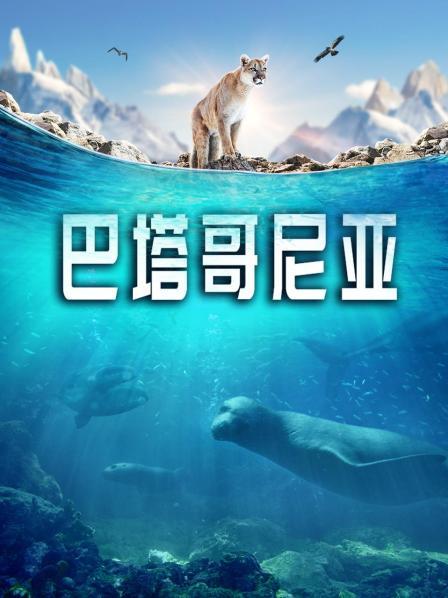 沙漠海岸线