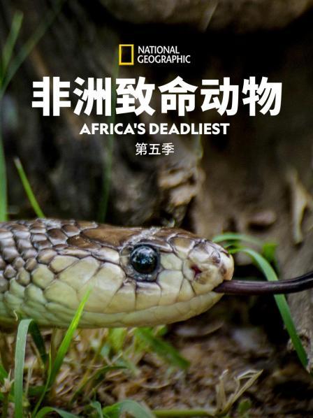 致命一击