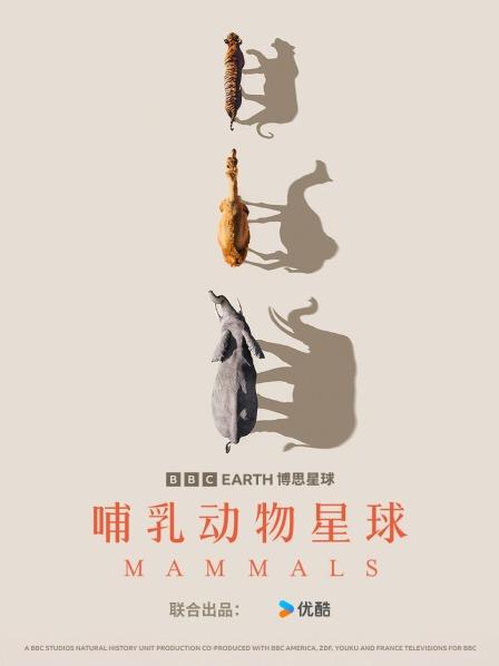 隐秘暗夜