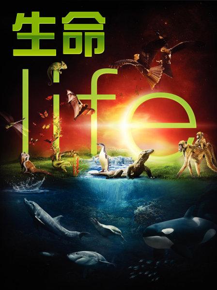 生命之生命的挑战