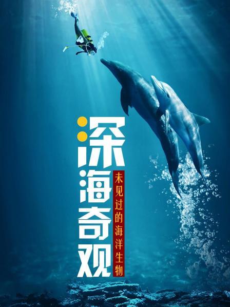 海底世界的“小猪佩奇”