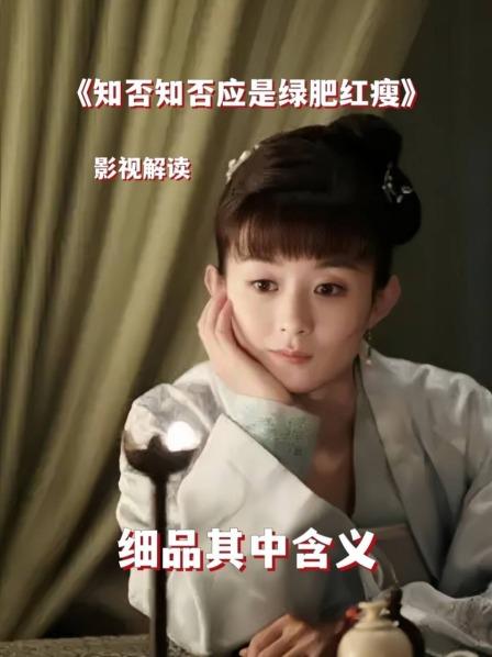 影视解读《知否知否应是绿肥红瘦》细品其中含义 1