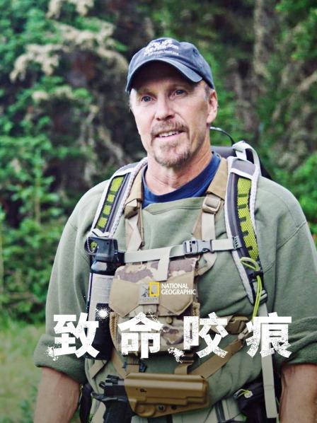 毒蛇与美洲狮的攻击