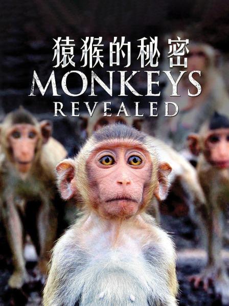 猿猴的秘密(一)
