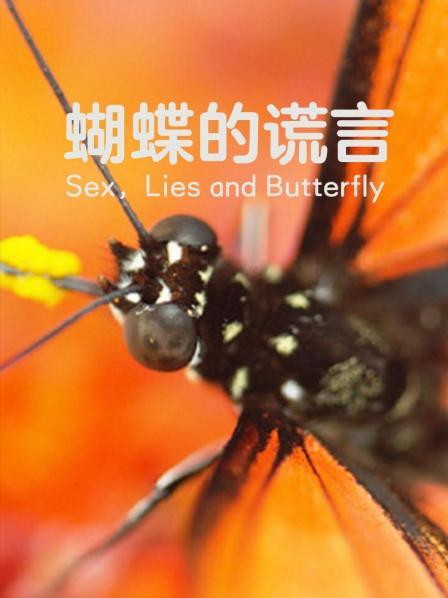 蝴蝶的谎言