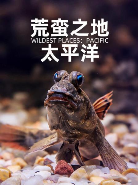 荒蛮之地：太平洋