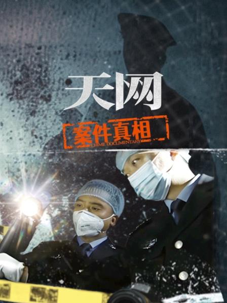 天网：案件真相