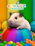 小仓鼠大闯关之我的世界 第3季