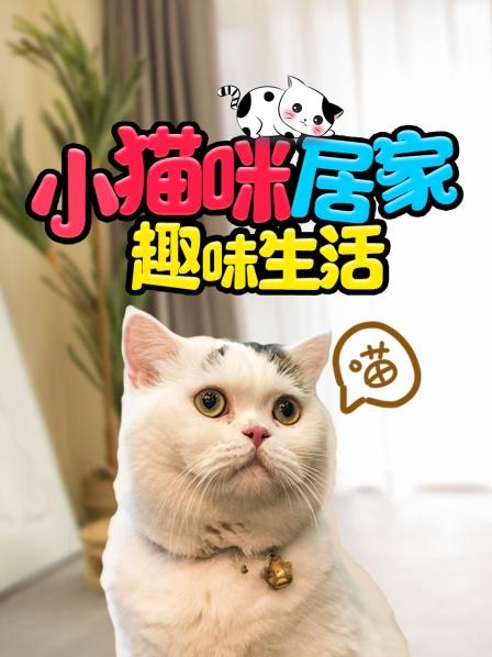 今天的零食有点不一样，小朋友们一起来看看猫咪的零食新吃法吧