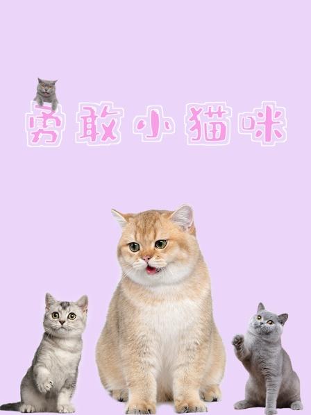 勇敢小猫咪，救出小狗找到了新家！