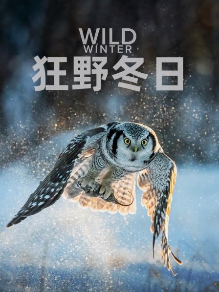 适应
