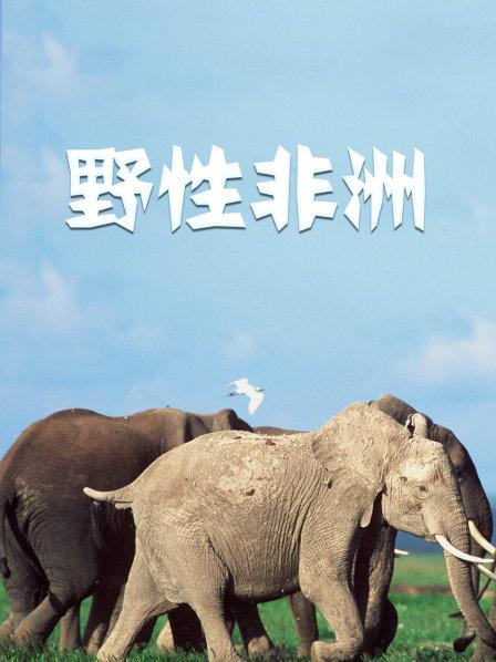 野性非洲