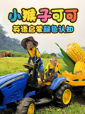 小猴子可可英语启蒙颜色认知