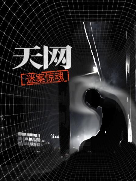 天网：迷案惊魂