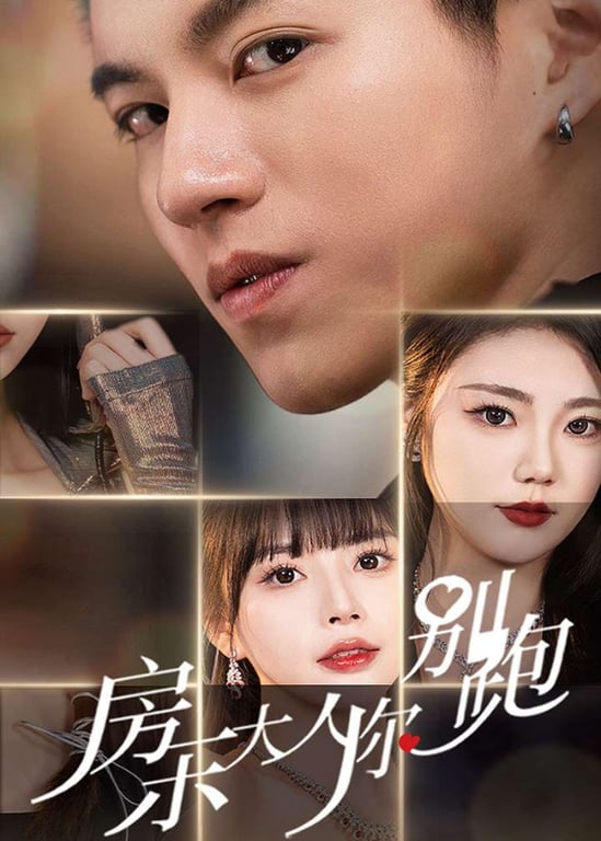 房东大人你别跑