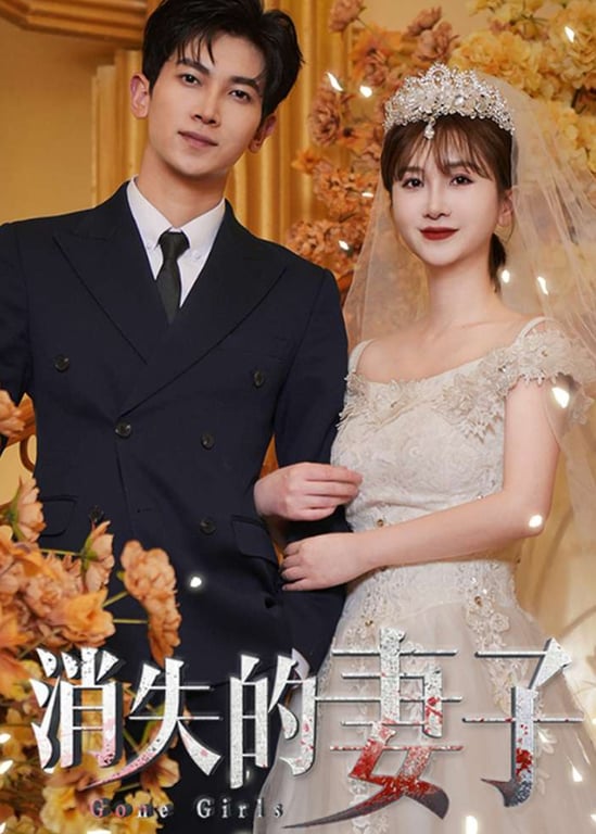 消失的妻子
