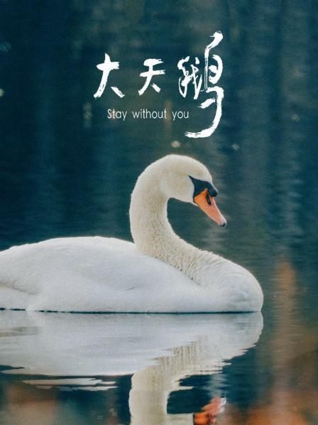大天鹅
