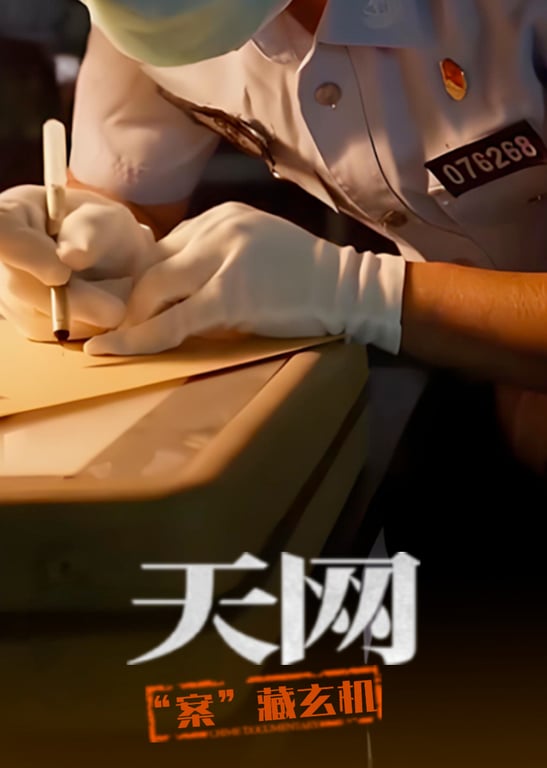 天网：“案”藏玄机