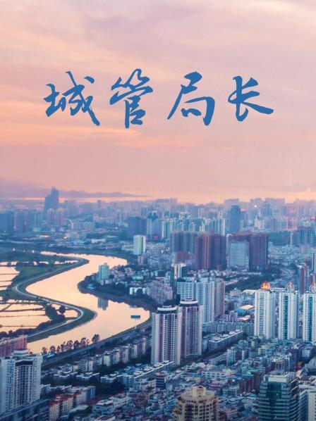 城管局长
