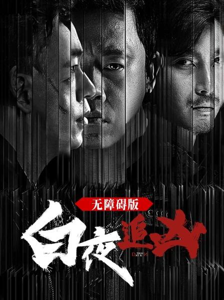 白夜追凶 无障碍版