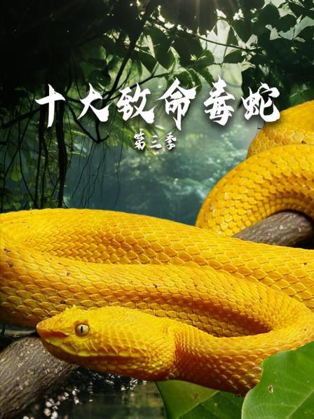  哥斯达黎加的冷血杀手（下）