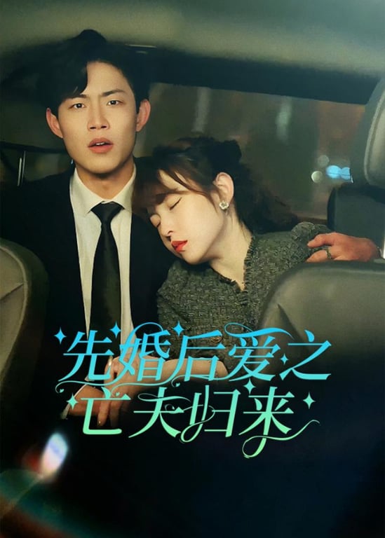 先婚后爱之亡夫归来