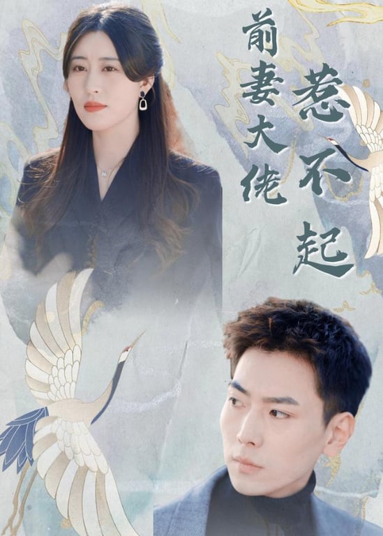 前妻大佬惹不起