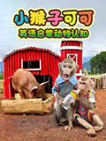 小猴子可可英语启蒙动物认知