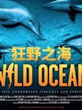 狂野之海