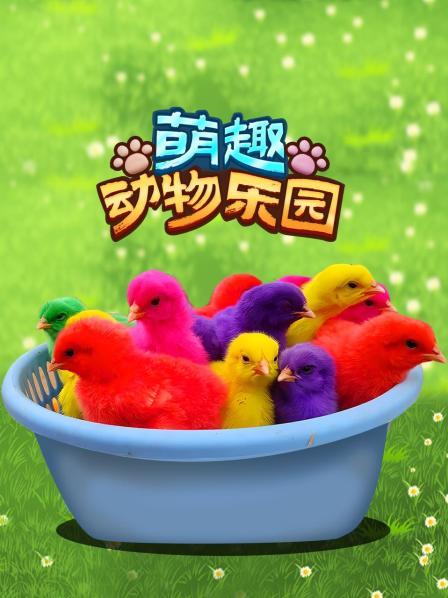 咚咚咚！小动物们在家吗？