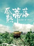 瓜熟蒂落