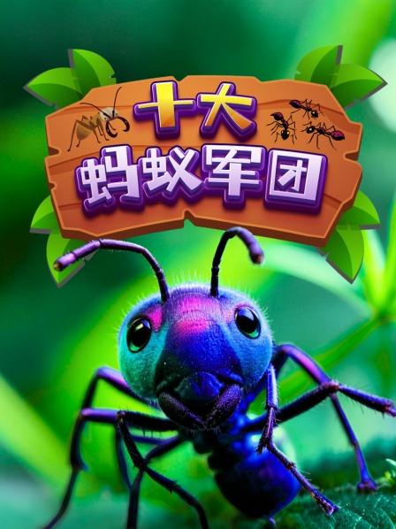 蚂蚁的战争 先导片