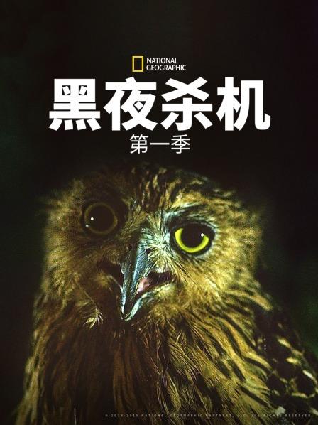 危机四伏的阿拉伯沙漠