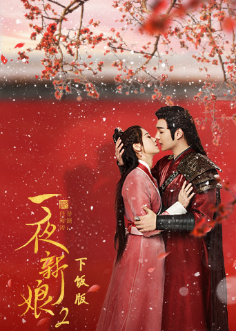 一夜新娘2 下饭版