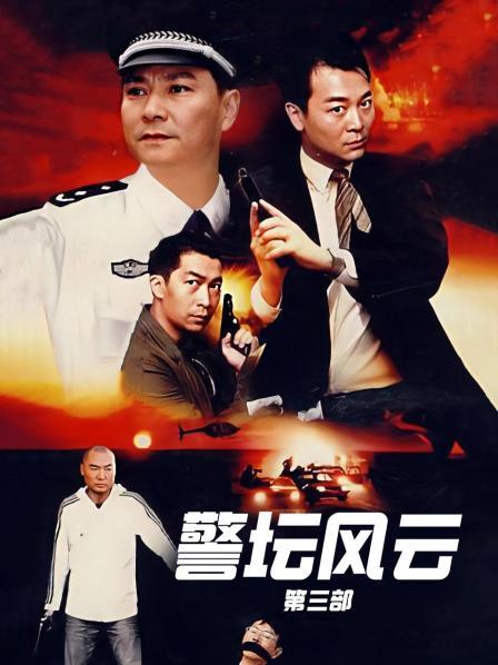 警坛风云 第三部