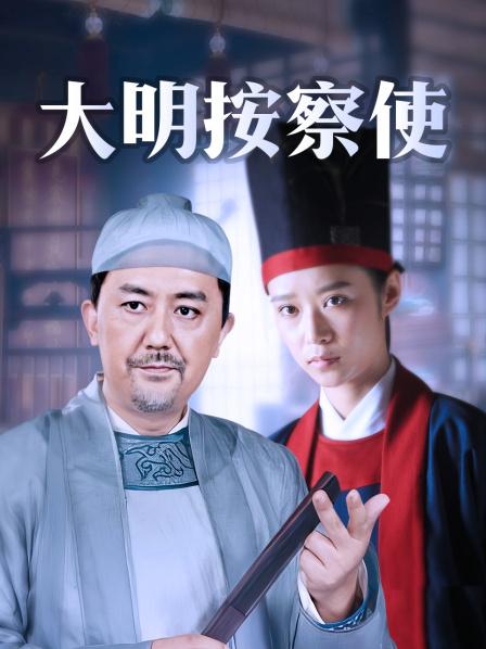 大明按察使 DVD版