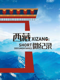 西藏微纪录 第2季