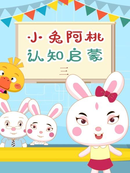 动物园 斑马