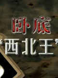 卧底“西北王”