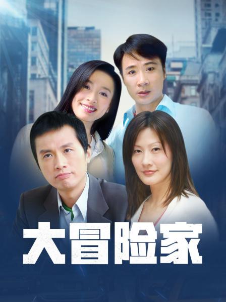大冒险家 TV版