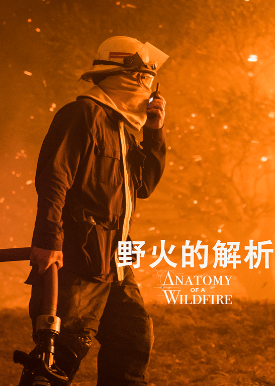 野火的解析