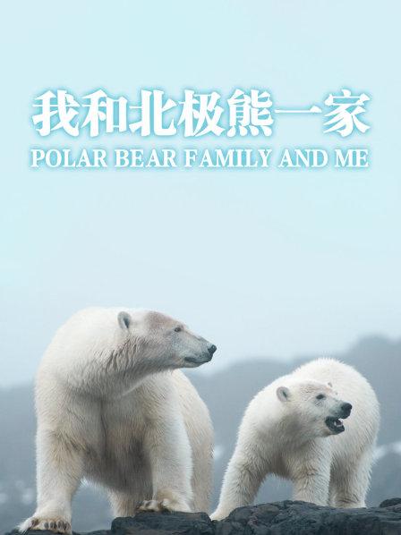 冒险接近雌性北极熊